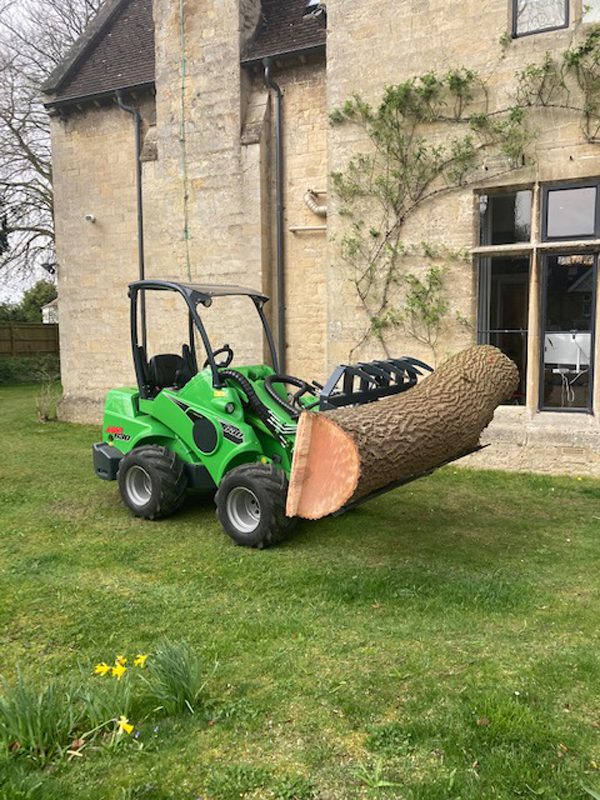 dead ash tree removed Oxford
