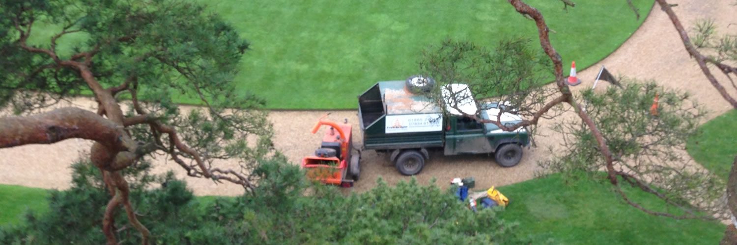 TreeScape commercial tree services in Oxford