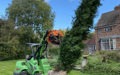 Tree Planting – Cumnor Hill, Oxfordshire